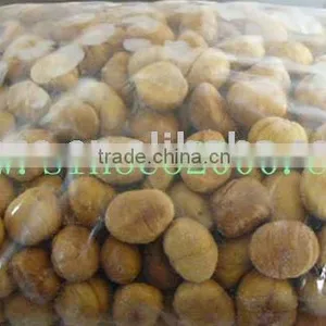 Chestnut Kernel thumbnail-1
