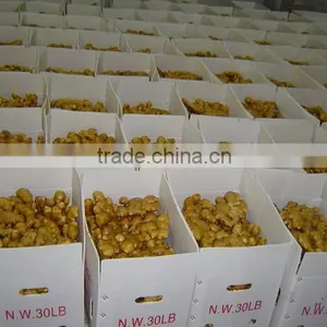 2016 Competitive Price Mesh Bag Ginger thumbnail-6