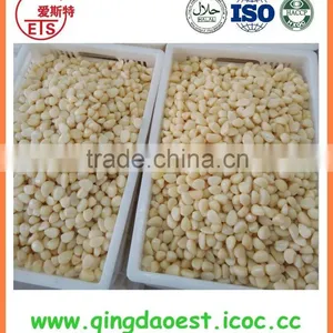 Garlic in Brine With Peeled Garlic From Factory Price thumbnail-6