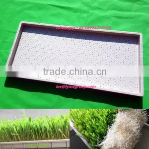 Inexpensive Vegetables Seed Propagation Plastic Trays For Microgreens thumbnail-1