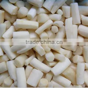 IQF Asparagus White and Green Tips and Cuts thumbnail-6