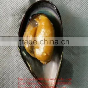 Wholesale High Quality Half Shell Mussel With Good Price and High Quality thumbnail-4