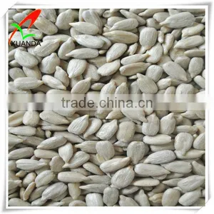 Sunflower Seed Kernels Bakery Supplier thumbnail-1
