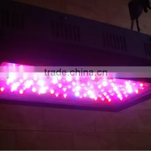 7-Band 180W Hydroponics Led Grow Light thumbnail-1