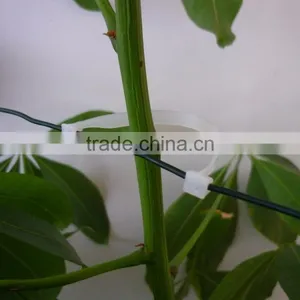 105mmL Gardening Plant Clip Kiwi Clip thumbnail-4