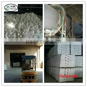 Diatomaceous Earth Diatomite Absorbent With High Absorbent Capacity thumbnail-6