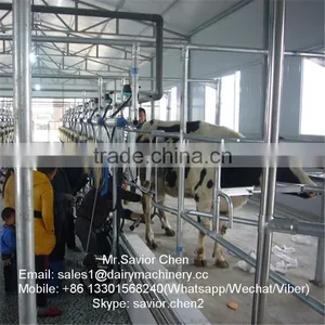 Dairy Farm Cow Used Milking Equipment thumbnail-6