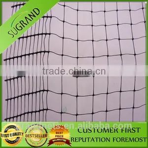 Nylon Bird Nets for Catch Birds Anti Bird Netting for Australia Market thumbnail-2