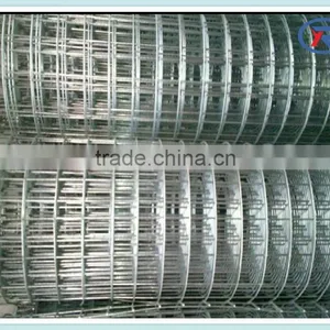 Trade Assurance Galvanized Iron Welded Wire Netting Mesh thumbnail-6
