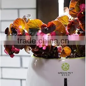 Plant Growth Light thumbnail-3