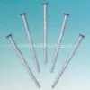 Wood Screw 389831 thumbnail-1
