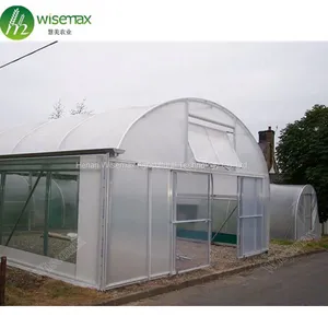 Low Cost Widely Used Agricultural Film Single Span Greenhouse thumbnail-5