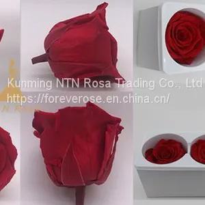 Begin Flower Business With Kunming Forever Flowers Exporter thumbnail-2
