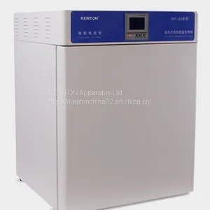 Stainless Steel Constant Temperature Incubator With LCD Screen is Suitable for Routine Experiments in High-end Laboratory thumbnail-1