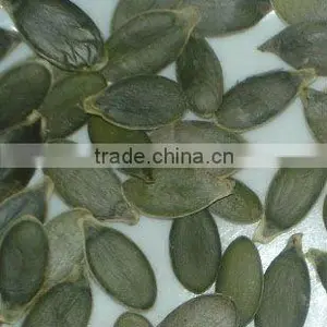Chinese Pumpkin Kernel thumbnail-1