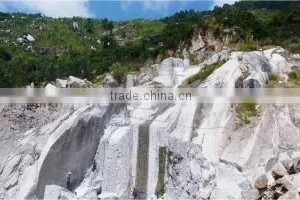 CaCO3 Powder Widely Used Mineral in the Paper, Plastics, Paints; Coatings Industries, Filler; Due to Its Special White Color thumbnail-2