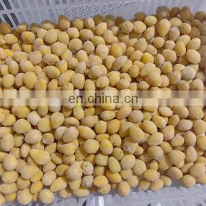 Sinocharm BRC-A Approved New Crop IQF Frozen Ginkgo Nut IQF Ginkgo Nut thumbnail-4