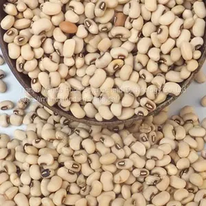 Black Eye Beans thumbnail-1