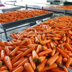 Cauliflower, Broccoli,carrots,sweet Corn, Garlic Frozen Vegetables thumbnail-4