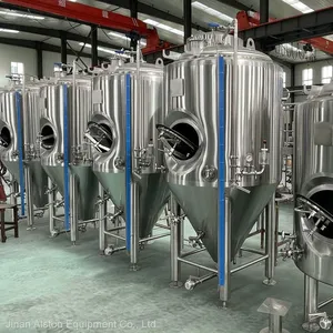 Beer Fermentation Unitank 1-300BBL thumbnail-2