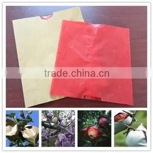 Hot Selling Apple Growing Paper Bag thumbnail-1