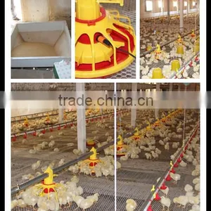 Chicken Automatic Feeder Direct Selling by Manufacturer thumbnail-1