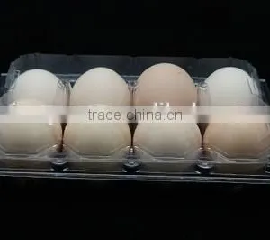 Disposable Plastic Eggs Tray 15 Holes thumbnail-6