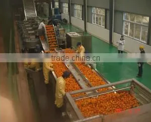 Jam Production Line thumbnail-1