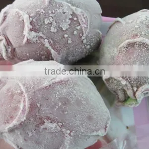 HIGH QUALITY FROZEN DRAGON FRUIT thumbnail-1