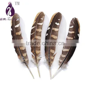 Brown&Yellow Reeves Venery Pheasant Wings Feathers thumbnail-1