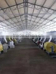 Linyi Plus Trade Co., Ltd. company overview - view 1 thumbnail