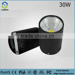 3years Rosh CE Auminum Downlight LED 30W Slim Led Down Light thumbnail-1
