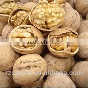 Thin Shell Walnut thumbnail-1