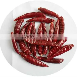 Hot Pepper thumbnail-1