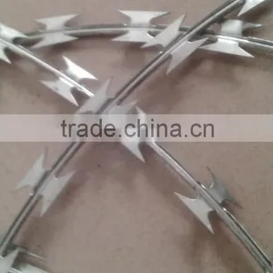 ISO9001:2000 Certified Manufacturer Safety Clips Razor Wire/production of Blades/Razor Barbed Wire Philippines thumbnail-4