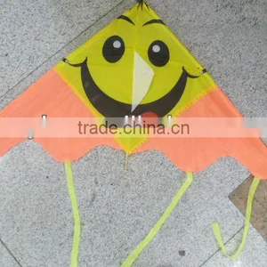 Kites thumbnail-1