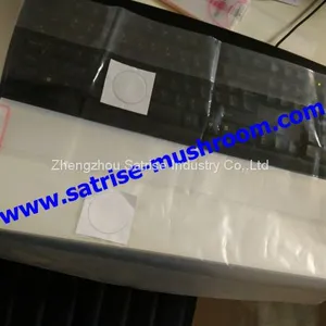 Mushroom Spawn Bag Grow Mushrooms From Spores Shiitake Growing Spawn thumbnail-4