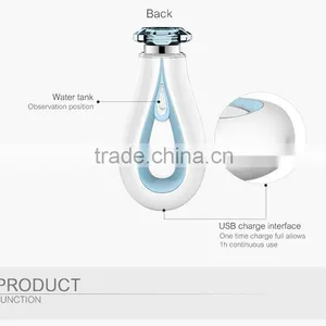 Handy Facial Steamer / Beauty Mini Mist Sprayer thumbnail-5