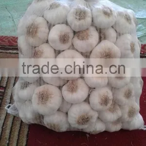 Fresh Garlic White Garlic thumbnail-2