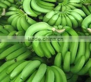 Fresh Cavendish Banana From Tamilnadu thumbnail-2