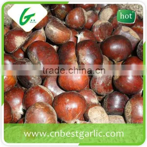 Price Chinese Raw Wholesale Frozen Chestnuts thumbnail-5