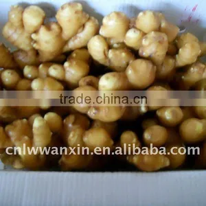 Chinese Fresh Ginger Market thumbnail-1