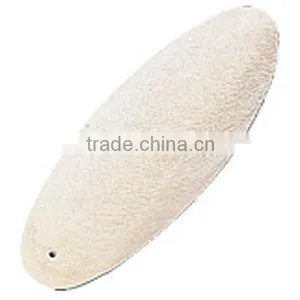 Cuttle Fish Bone thumbnail-1