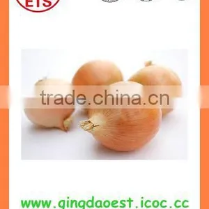 Fresh New Crop Yellow Onion PRODUCTS From China thumbnail-2