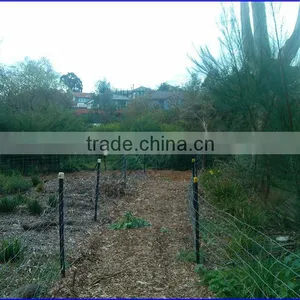 Hot Dip Galvanized and Paint Dark Green Steel Y Fence Post for Middle East and Israel Market thumbnail-5