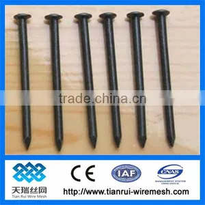 Concrete Steel Nail/nail/common Nail Iron Nail Factory thumbnail-1