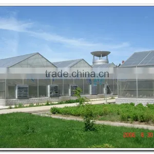 Large Pinnacle Ridge Roof PC Greenhouse thumbnail-2