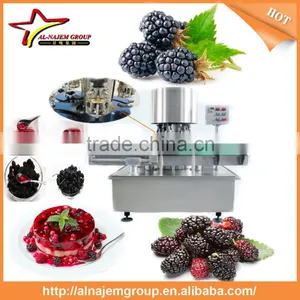 Mulberry Paste Making Production Line High Viscosity Liquid Filling Machine thumbnail-2