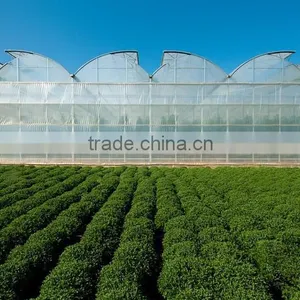 Greenhouse thumbnail-2