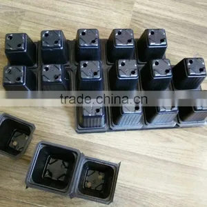PS Plastic Germination and Planting Seed Tray, Can Make Easy to Separate to One Cell thumbnail-4